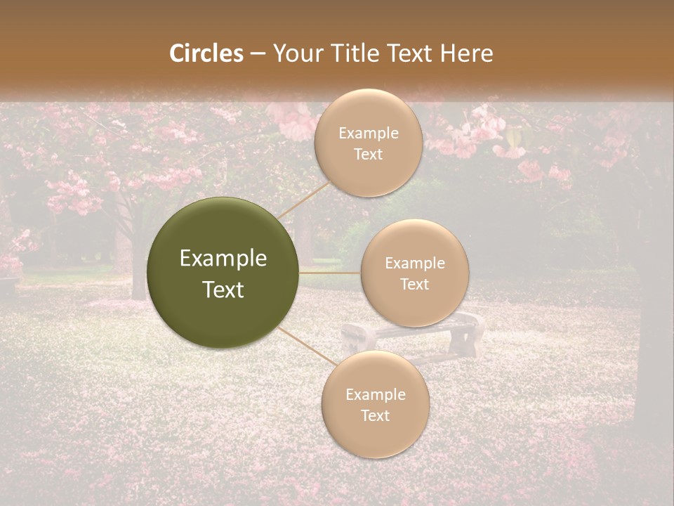 Park Bench With Sakura PowerPoint Template