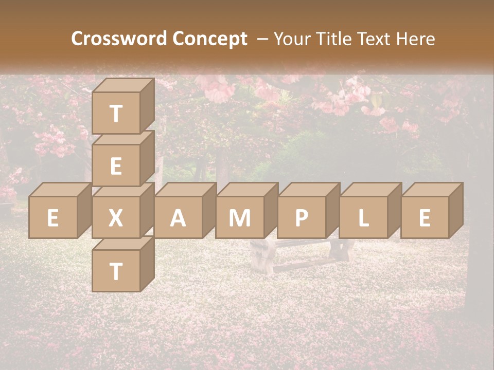 Park Bench With Sakura PowerPoint Template