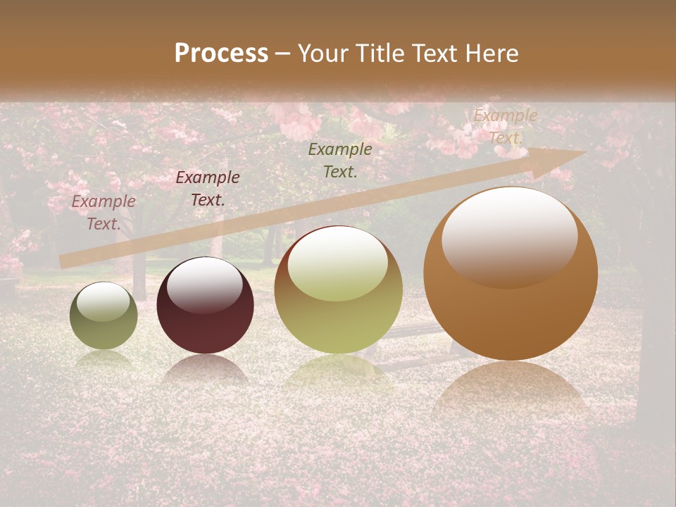 Park Bench With Sakura PowerPoint Template