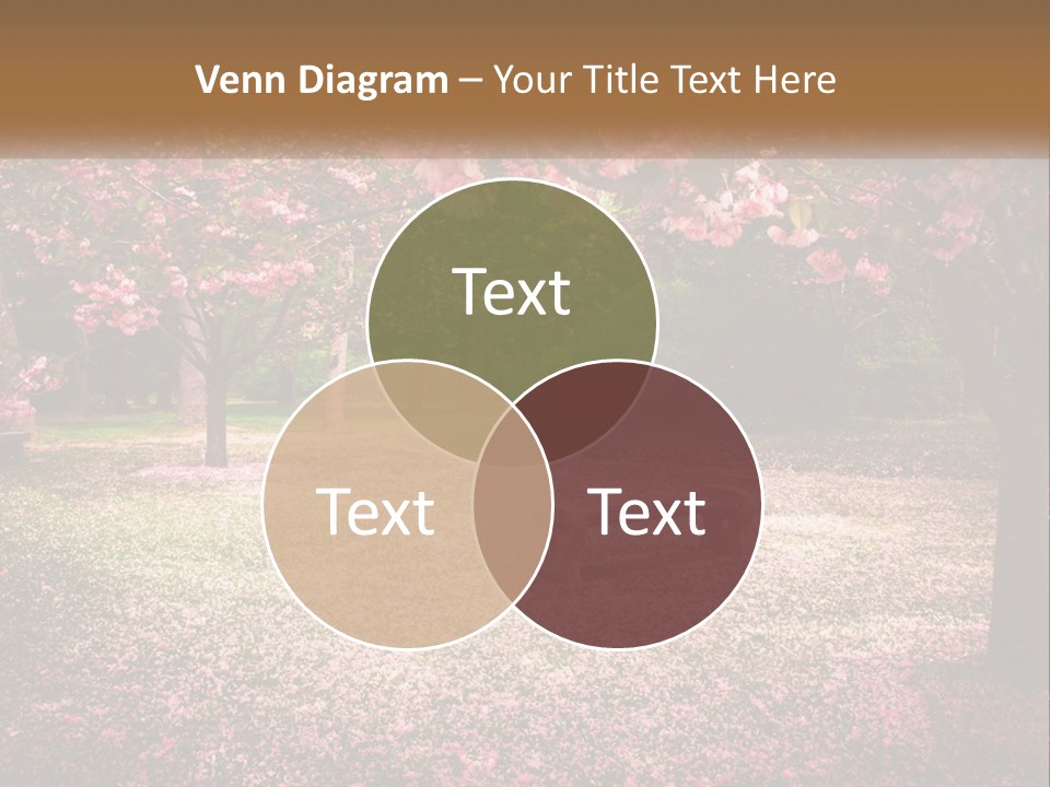 Park Bench With Sakura PowerPoint Template