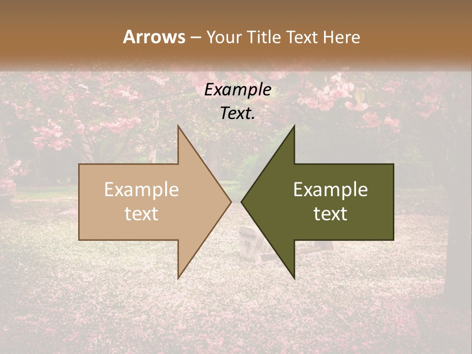 Park Bench With Sakura PowerPoint Template