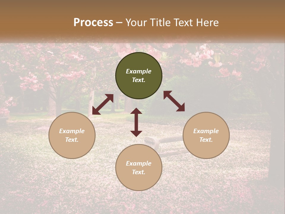 Park Bench With Sakura PowerPoint Template