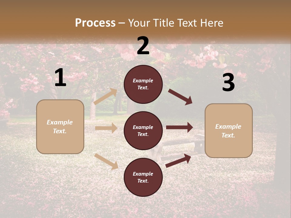 Park Bench With Sakura PowerPoint Template