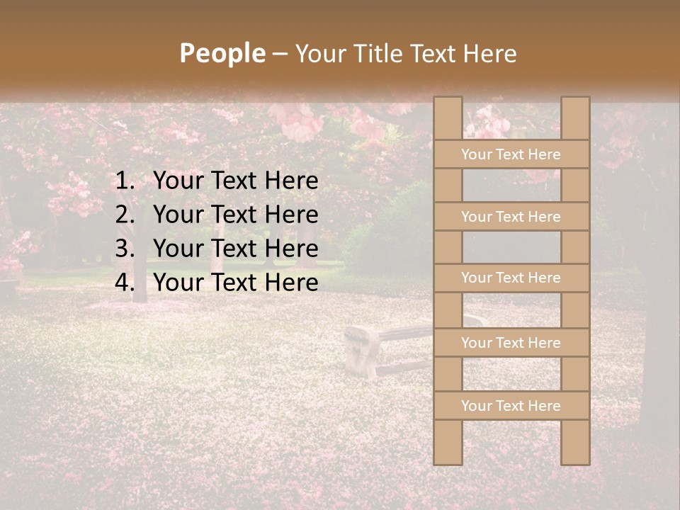 Park Bench With Sakura PowerPoint Template