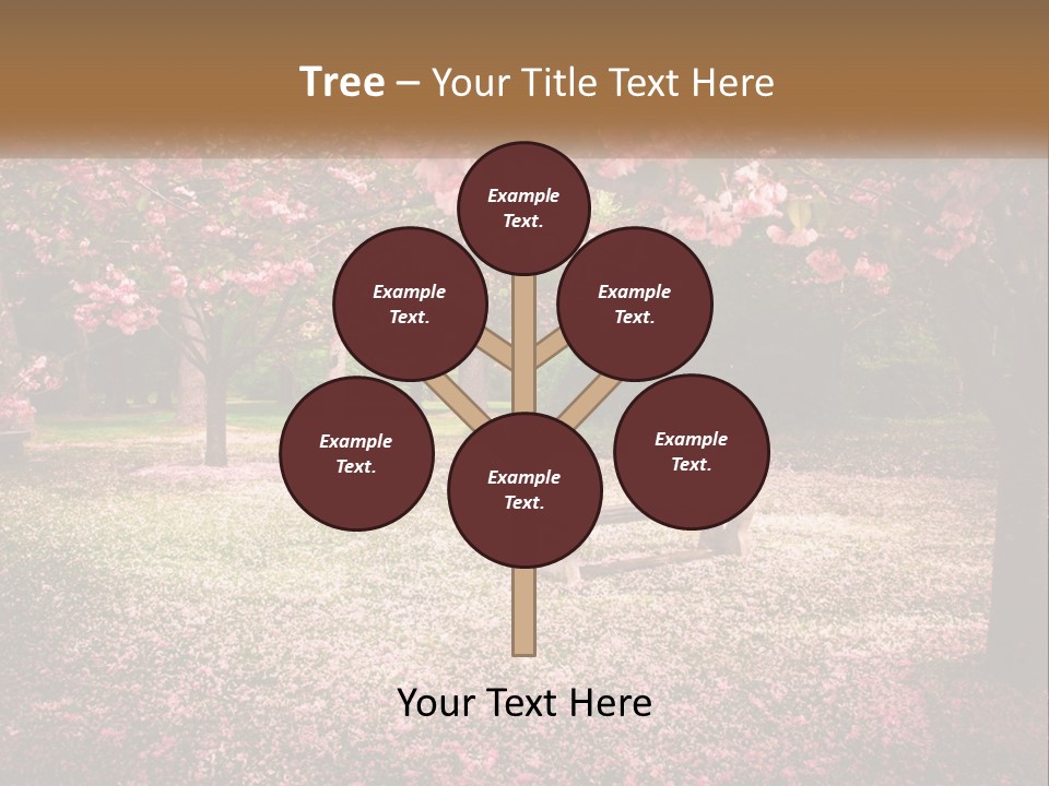 Park Bench With Sakura PowerPoint Template