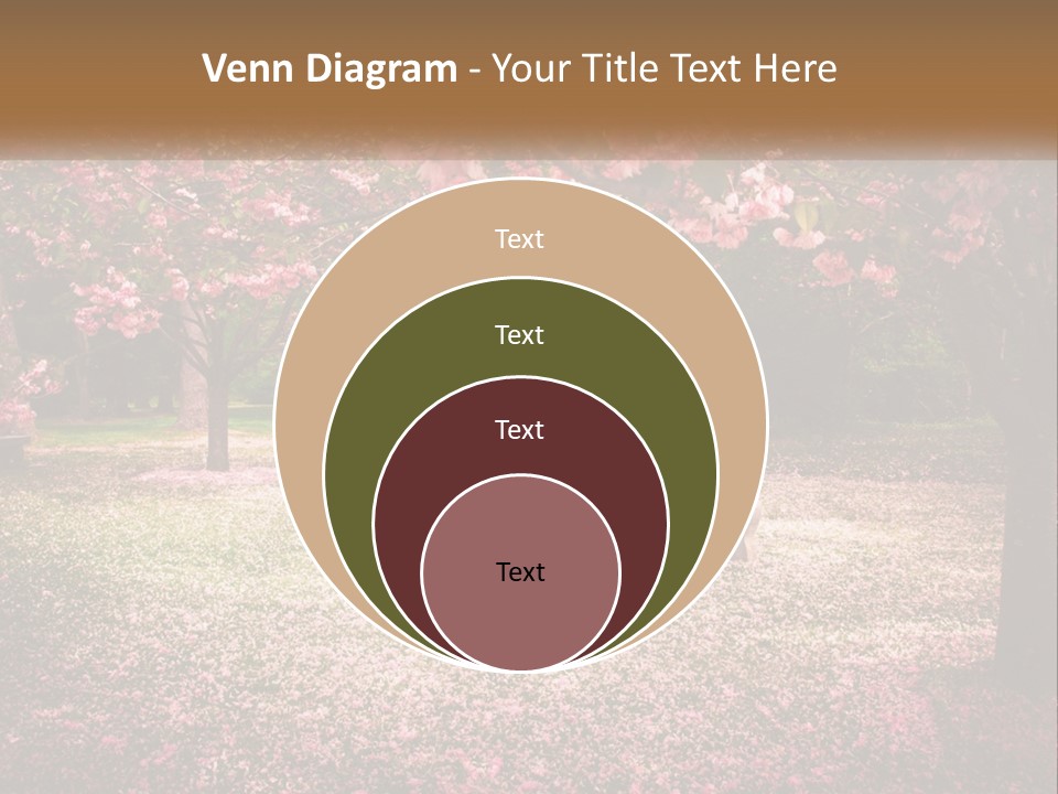 Park Bench With Sakura PowerPoint Template