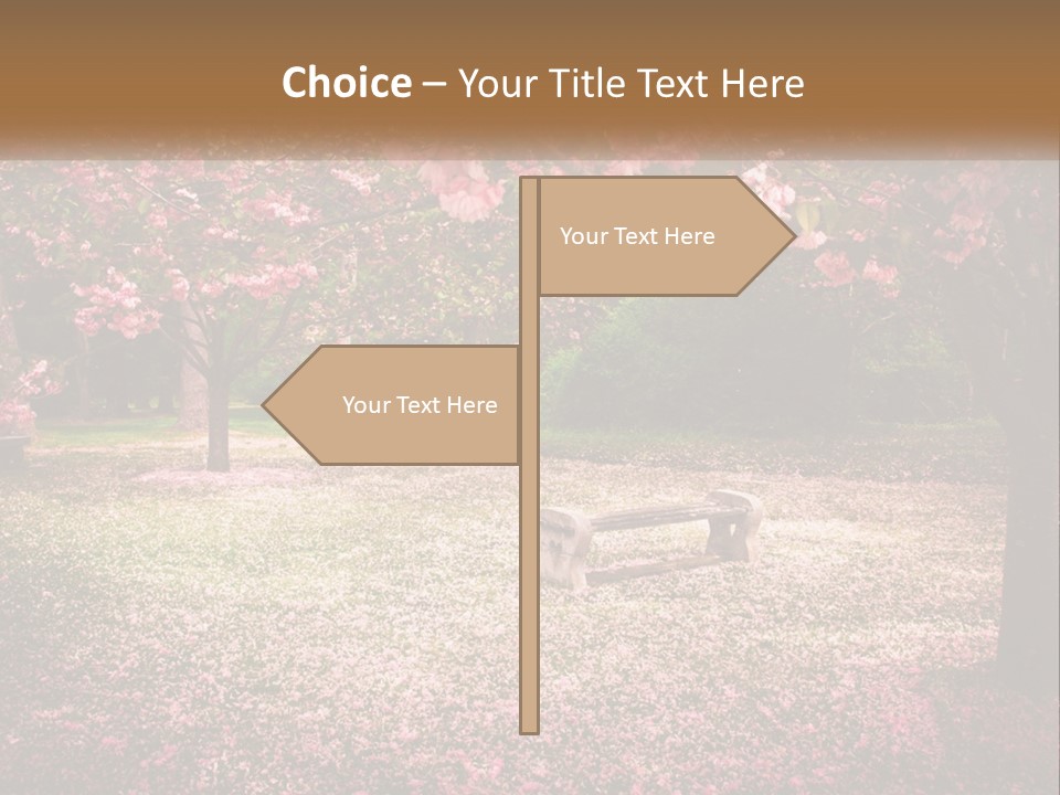 Park Bench With Sakura PowerPoint Template