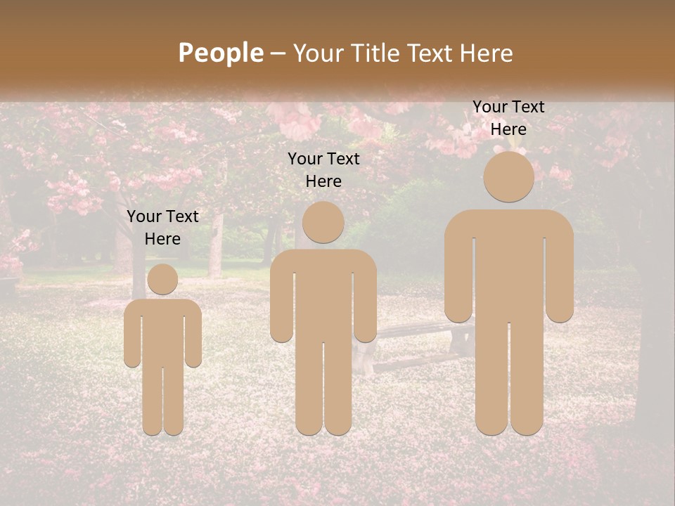 Park Bench With Sakura PowerPoint Template