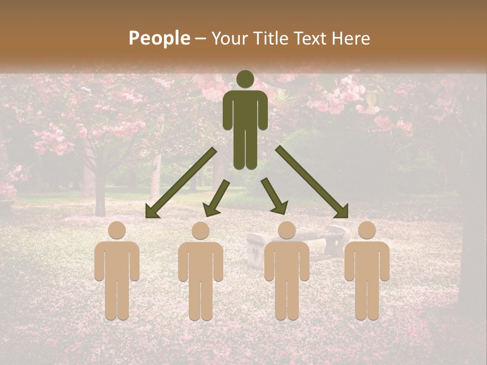 Park Bench With Sakura PowerPoint Template