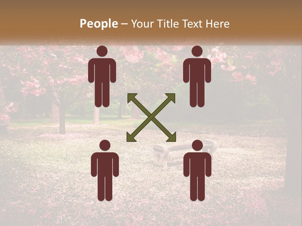 Park Bench With Sakura PowerPoint Template