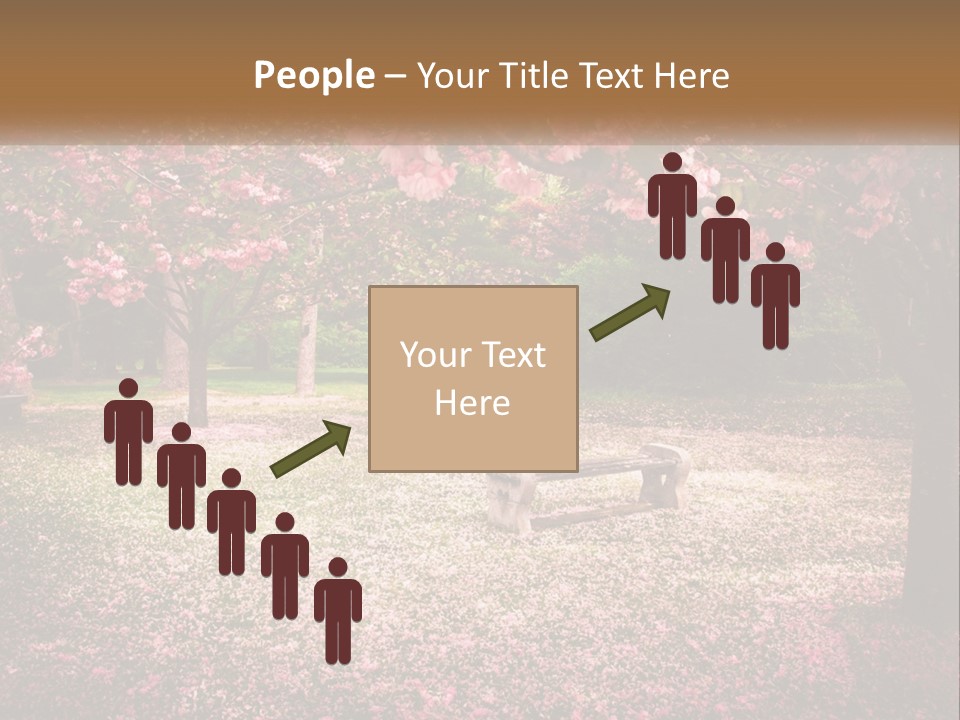 Park Bench With Sakura PowerPoint Template