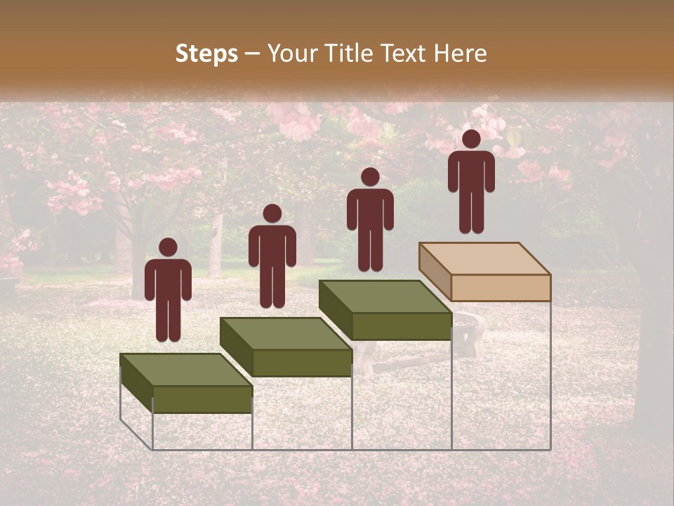 Park Bench With Sakura PowerPoint Template