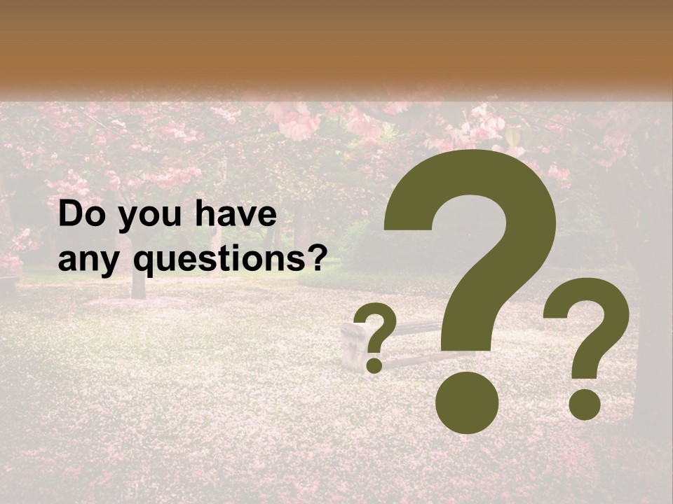 Park Bench With Sakura PowerPoint Template