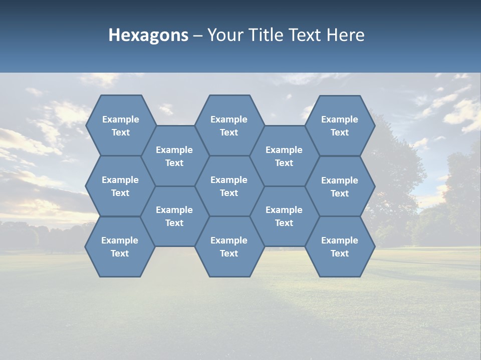 Sunrise Through The Trees PowerPoint Template