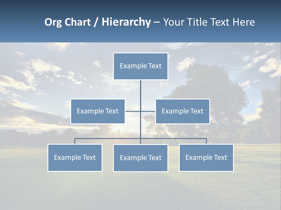 Sunrise Through The Trees PowerPoint Template