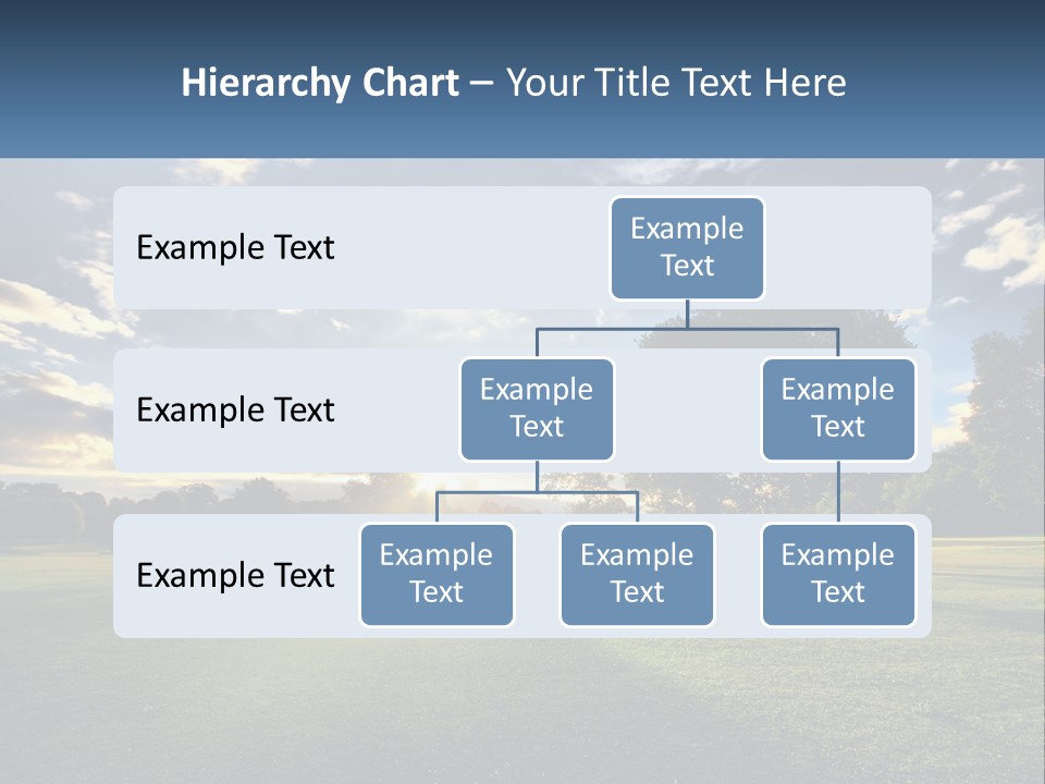 Sunrise Through The Trees PowerPoint Template