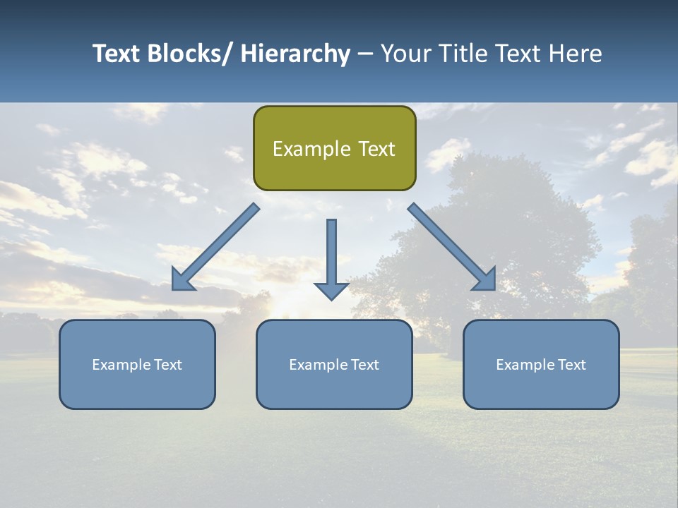 Sunrise Through The Trees PowerPoint Template