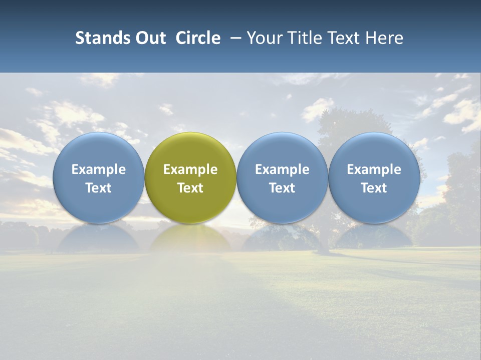 Sunrise Through The Trees PowerPoint Template