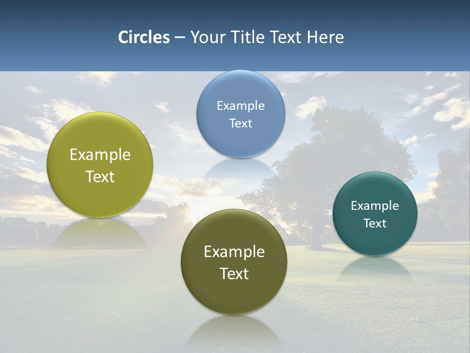 Sunrise Through The Trees PowerPoint Template