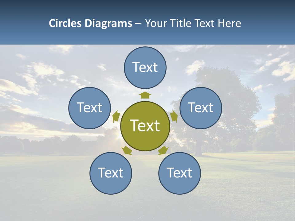 Sunrise Through The Trees PowerPoint Template