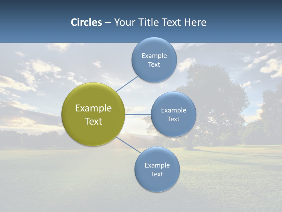 Sunrise Through The Trees PowerPoint Template