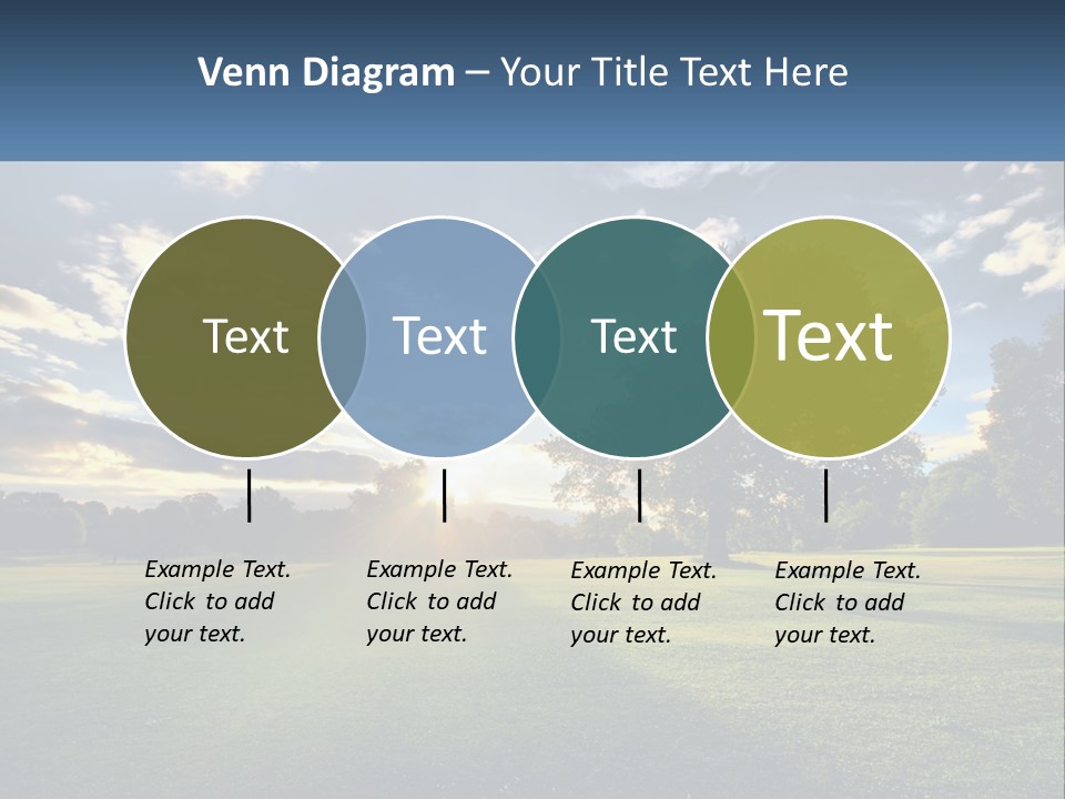 Sunrise Through The Trees PowerPoint Template