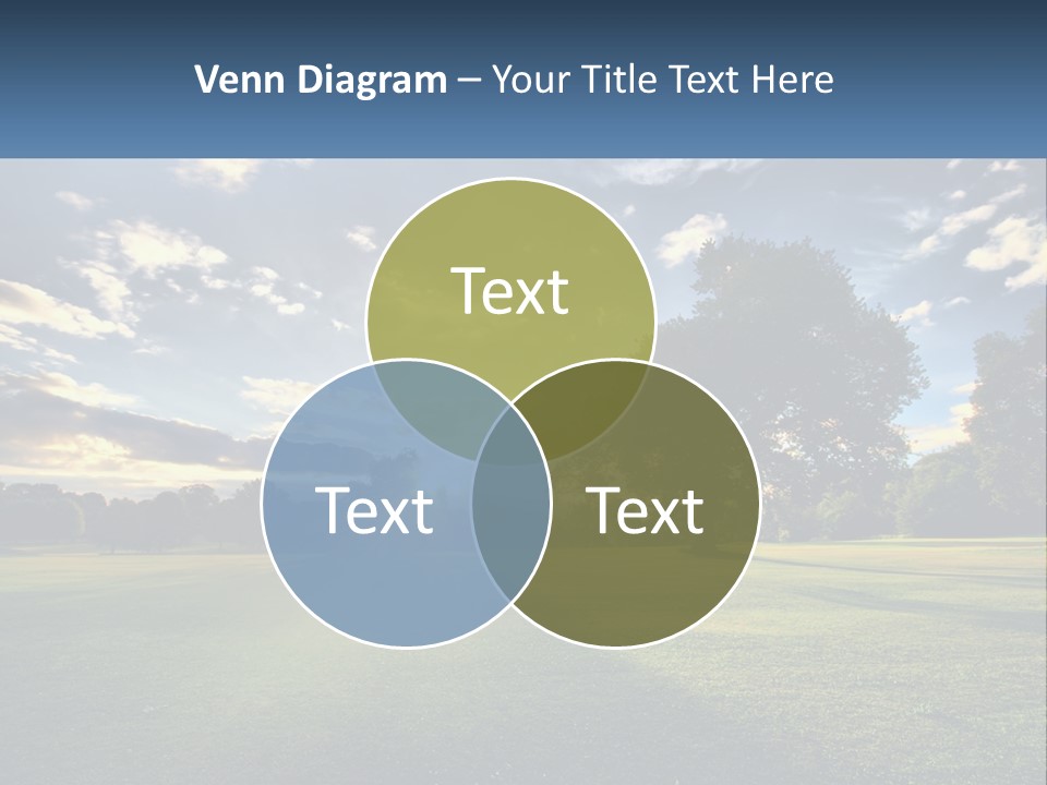 Sunrise Through The Trees PowerPoint Template