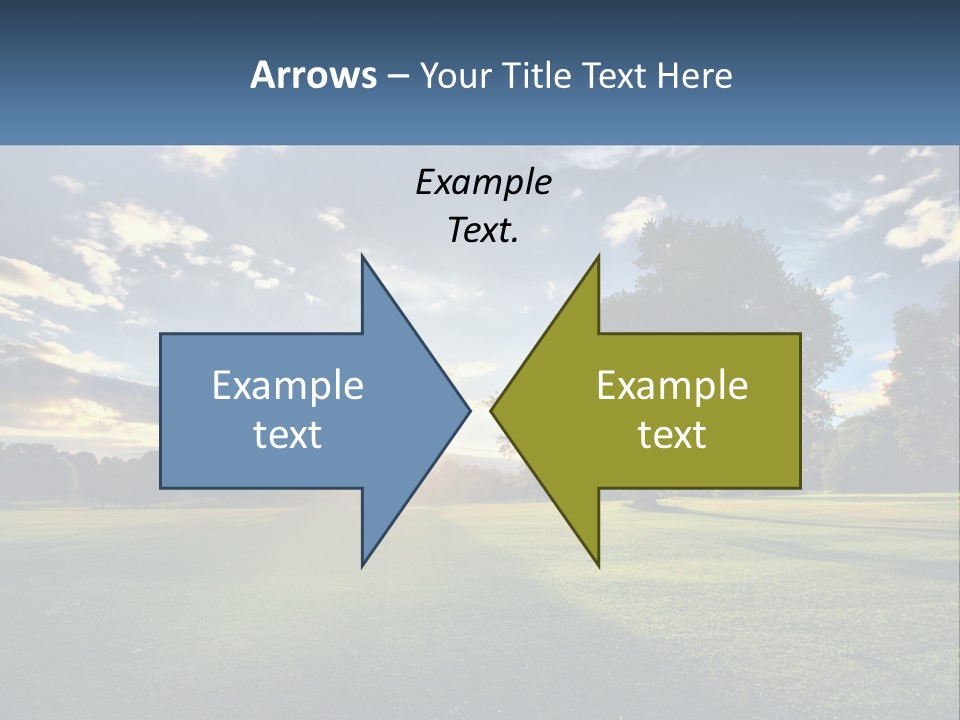 Sunrise Through The Trees PowerPoint Template