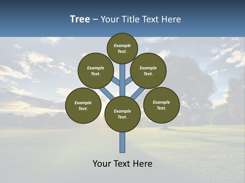 Sunrise Through The Trees PowerPoint Template