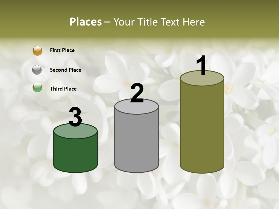 White Lilac PowerPoint Template