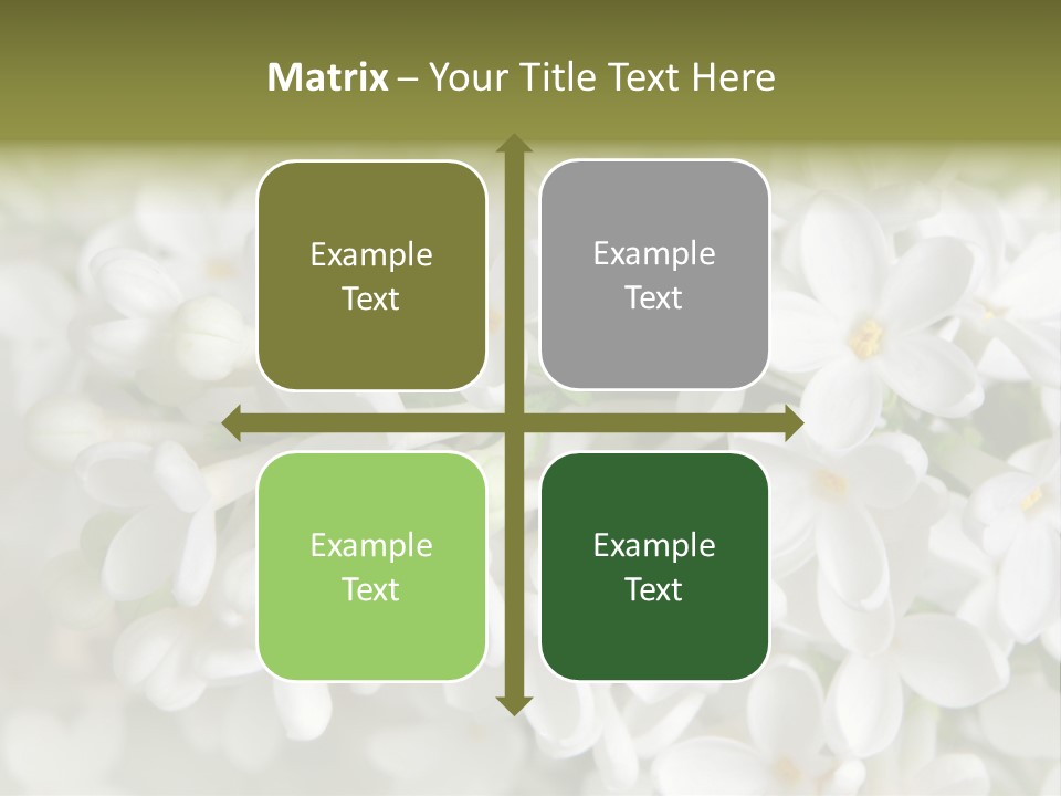 White Lilac PowerPoint Template