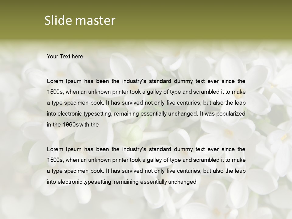 White Lilac PowerPoint Template