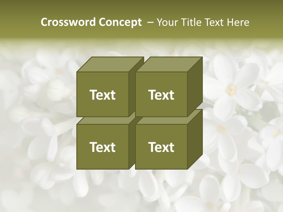 White Lilac PowerPoint Template