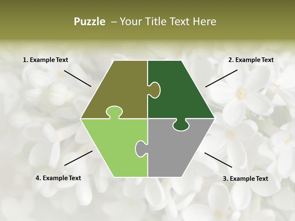 White Lilac PowerPoint Template