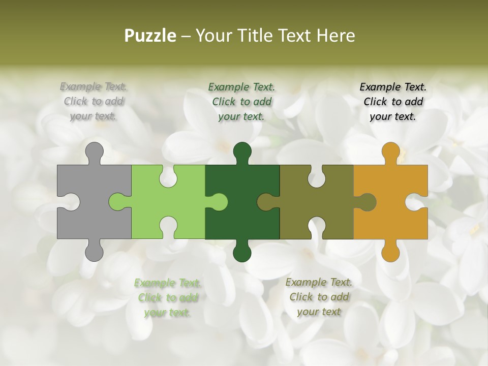 White Lilac PowerPoint Template