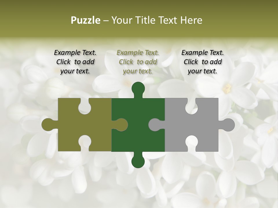 White Lilac PowerPoint Template