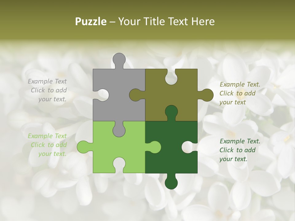 White Lilac PowerPoint Template