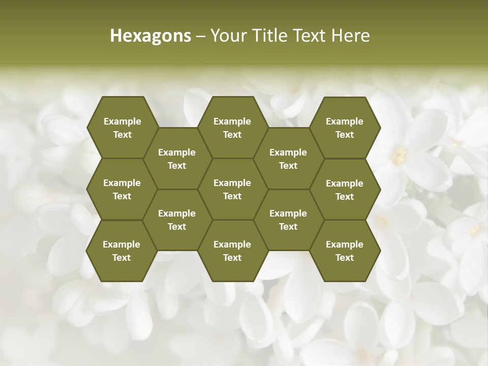 White Lilac PowerPoint Template