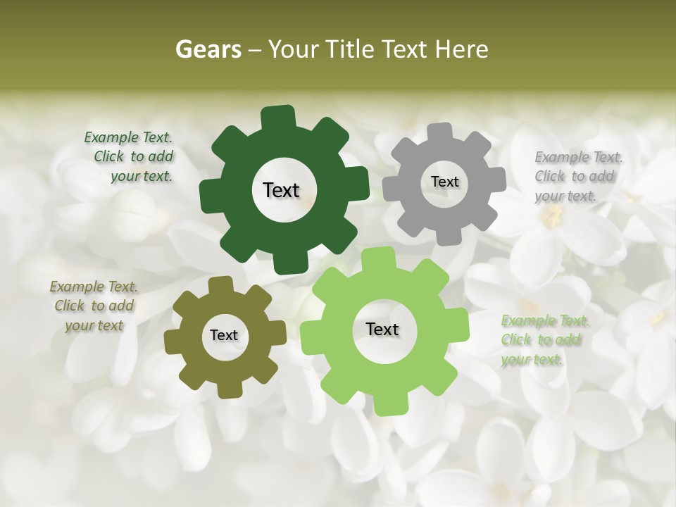 White Lilac PowerPoint Template