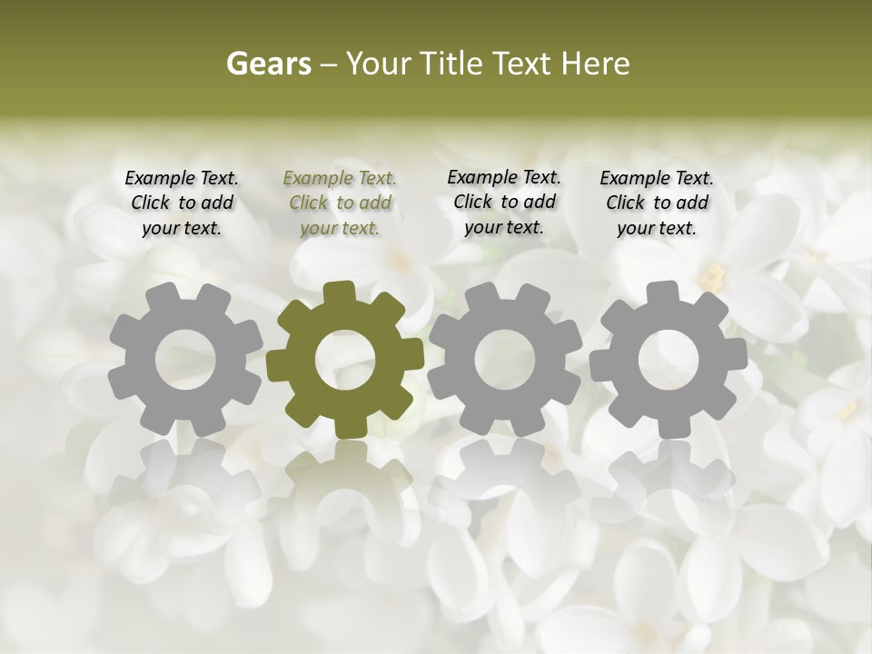 White Lilac PowerPoint Template