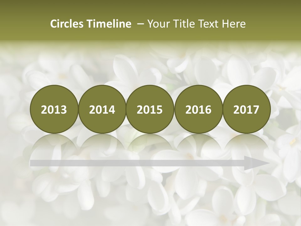 White Lilac PowerPoint Template