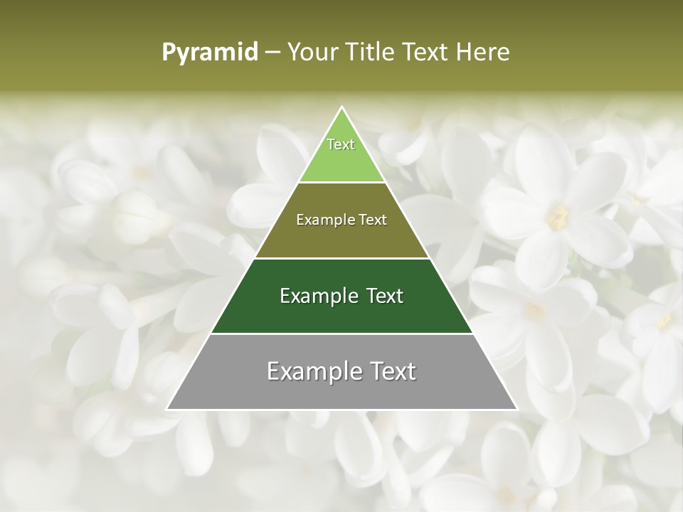 White Lilac PowerPoint Template