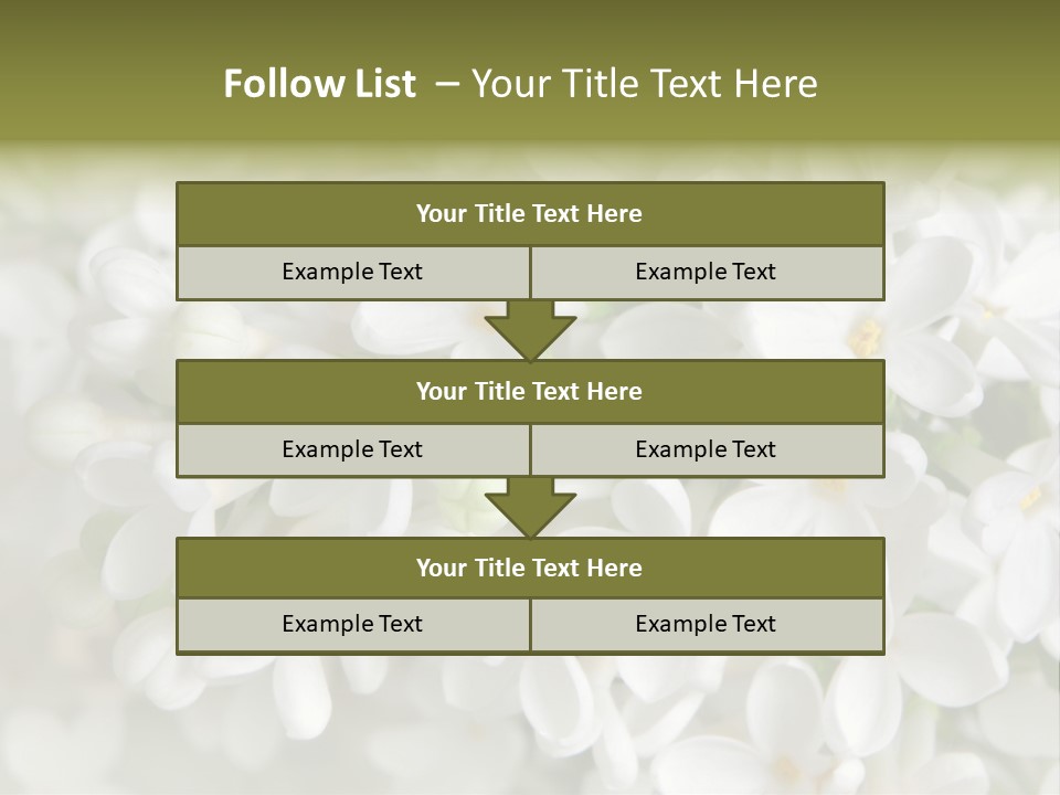 White Lilac PowerPoint Template