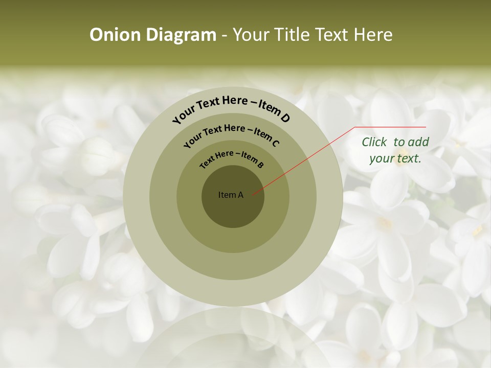 White Lilac PowerPoint Template