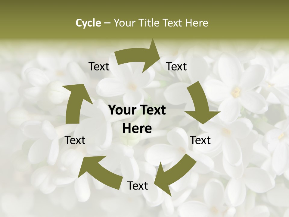 White Lilac PowerPoint Template