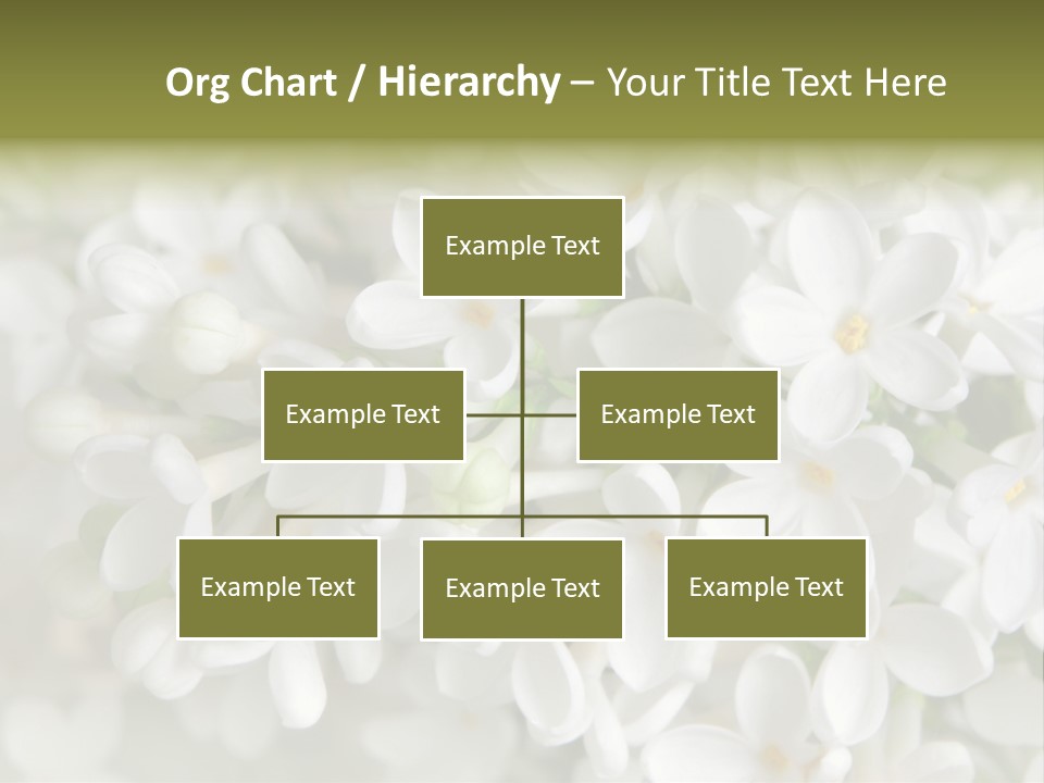 White Lilac PowerPoint Template