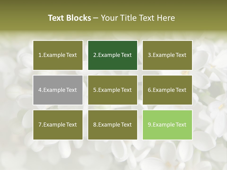 White Lilac PowerPoint Template