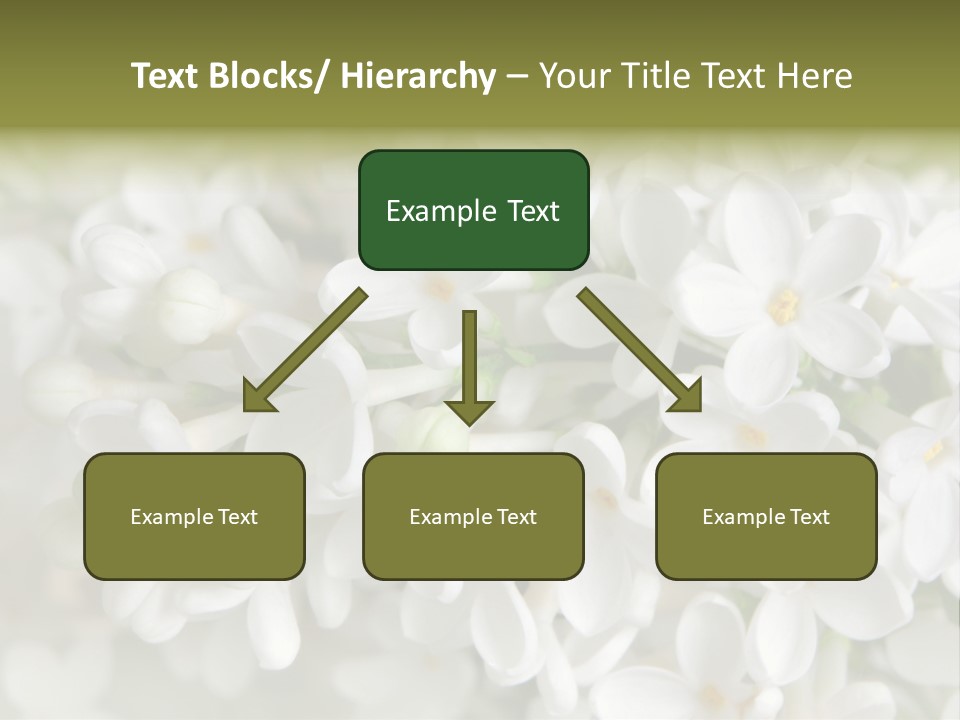 White Lilac PowerPoint Template