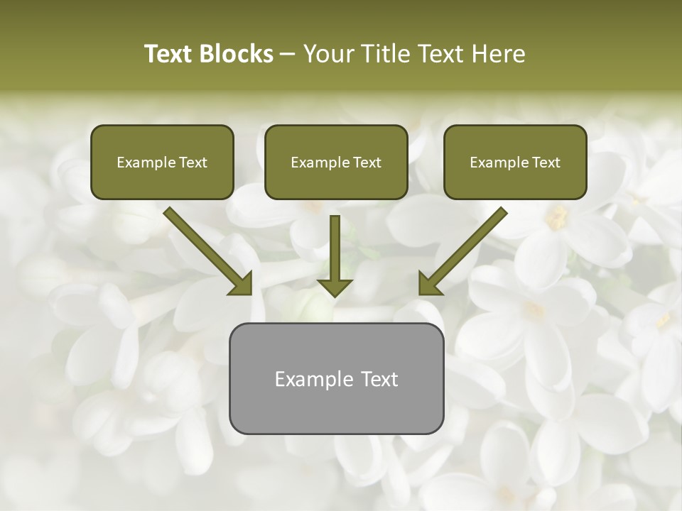 White Lilac PowerPoint Template