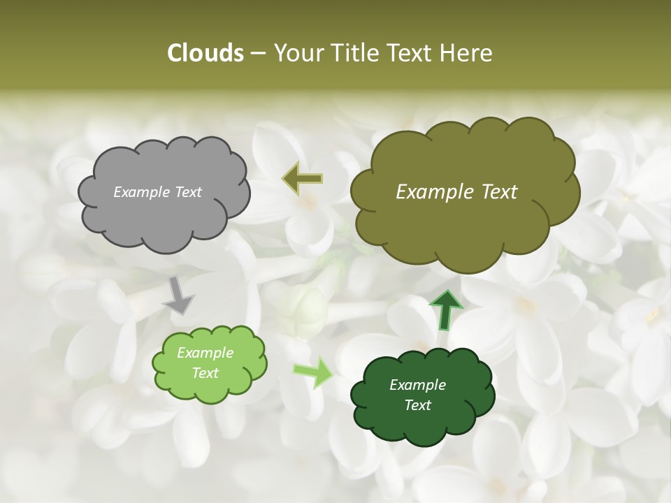 White Lilac PowerPoint Template